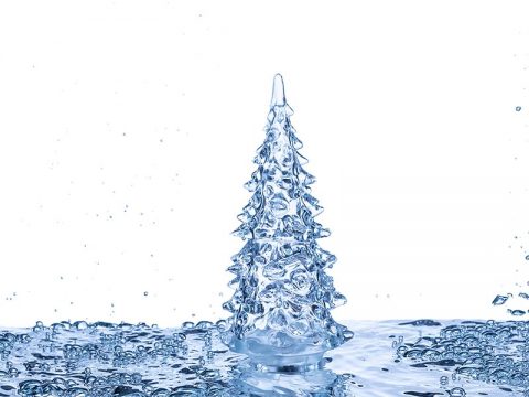 Water Damage During the Holiday Season